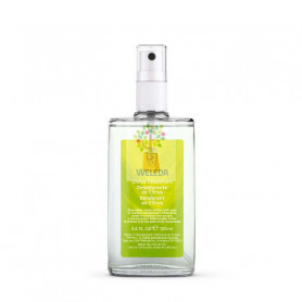 DESODORANTE SPRAY CITRUS 100Ml.