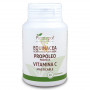 EQUINACEA, PROPOLEO Y VITAMINA C MASTICABLE 60 COMPRIMIDOS PLANTA POL