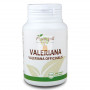 VALERIANA 100 COMPRIMIDOS PLANTA POL