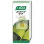 GINKGOFORCE 100Ml. A. VOGEL (BIOFORCE)