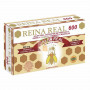 REINA REAL 600Mg. 20 AMPOLLAS ROBIS