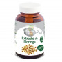 EXTRACTO DE MORINGA 60 CAPSULAS EL GRANERO