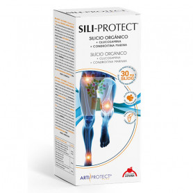 SILI-PROTECT 500Ml. INTERSA