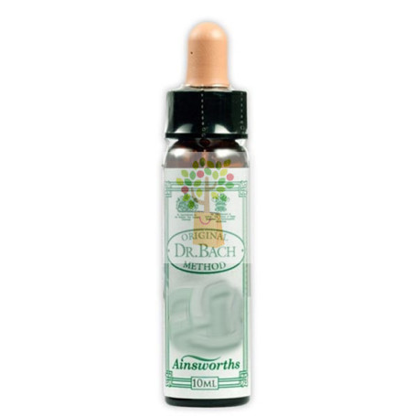 BACH OLIVE 10Ml. SANTIVERI