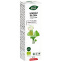 PHYTO-BIOPOLE GINKGO BILOBA BIO 50Ml. INTERSA