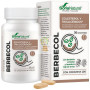 BERBECOL 30 COMPRIMIDOS MGDOSE
