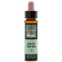 ELIXIR FLORAL 1 AGRIMONIA 10Ml. PLANTIS