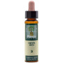 ELIXIR FLORAL 3 BEECH 10Ml. PLANTIS