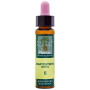 ELIXIR FLORAL 5 CERATOSTIGMA 10Ml. PLANTIS