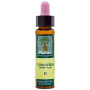 ELIXIR FLORAL 6 CERASIFERA 10Ml. PLANTIS