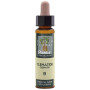 ELIXIR FLORAL 9 CLEMATIS 10Ml. PLANTIS