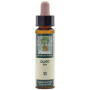 ELIXIR FLORAL 11 ELM 10Ml. PLANTIS