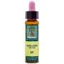 ELIXIR FLORAL 12 GENTIAN 10Ml. PLANTIS