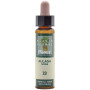 ELIXIR FLORAL 13 GORSE 10Ml. PLANTIS