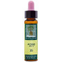 ELIXIR FLORAL 15 HOLLY 10Ml. PLANTIS