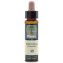 ELIXIR FLORAL 16 HONEYSUCKLE 10Ml. PLANTIS