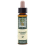 ELIXIR FLORAL 17 HORNBEAM 10Ml. PLANTIS