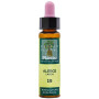 ELIXIR FLORAL 19 LARCH 10Ml. PLANTIS