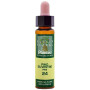 ELIXIR FLORAL 24 PINE 10Ml. PLANTIS