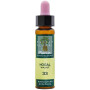ELIXIR FLORAL 33 NOGAL 10Ml. PLANTIS