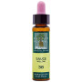 ELIXIR FLORAL 38 SAUCE 10Ml. PLANTIS