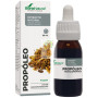 EXTRACTO DE PROPÓLEO 50ML SORIA NATURAL