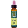 ELIXIR FLORAL 22 OAK 10Ml. PLANTIS