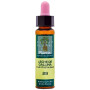 ELIXIR FLORAL 29 LECHE GALLINA 10Ml. PLANTIS
