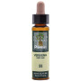 ELIXIR FLORAL 31 VERBENA 10Ml. PLANTIS