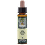 ELIXIR FLORAL 36 AVENA SIL 10Ml. PLANTIS