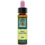 ELIXIR FLORAL 37 ROSA SIL 10Ml. PLANTIS