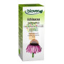 ECHINACEA PURPUREA 50Ml. BIOVER