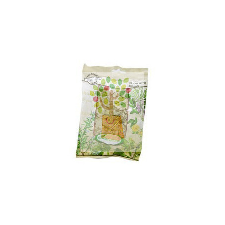 EUCALIPTO HOJAS BOLSA 70Gr. SORIA NATURAL