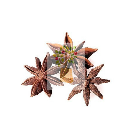 ANIS ESTRELLADO 100Gr. ROSANA (PINISAN)