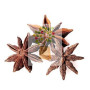 ANIS ESTRELLADO 100Gr. ROSANA (PINISAN)