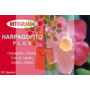 HARPAGOFITO PLUS 60 CAPSULAS INTEGRALIA