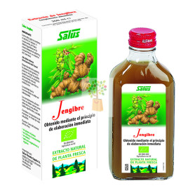 JUGO DE JENGIBRE 200Ml. SALUS
