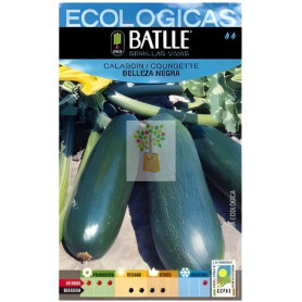 SEMILLAS DE CALABACÍN BELLEZA NEGRA ECO BATLLE