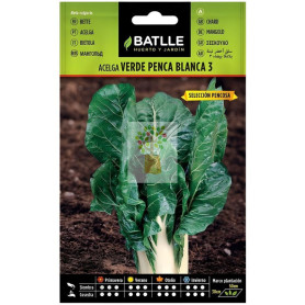 SEMILLAS DE ACELGA VERDE DE PENCA ANCHA ECO BATLLE