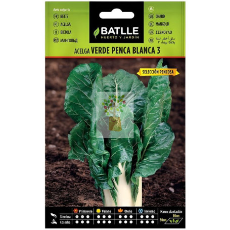SEMILLAS DE ACELGA VERDE DE PENCA ANCHA ECO BATLLE