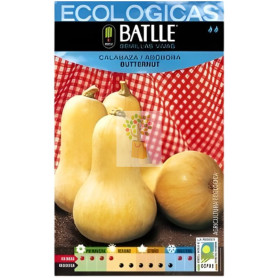 SEMILLAS DE CALABAZA BUTTERNUT ECO BATLLE