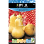 SEMILLAS DE CALABAZA BUTTERNUT ECO BATLLE