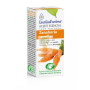 ZANAHORIA SEMILLA 5Ml. ESENTIAL AROMS