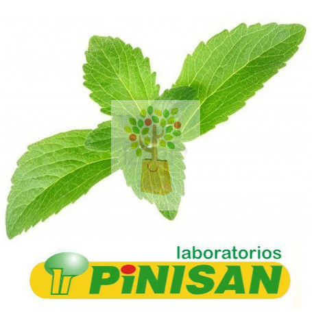 BOLSA ESTEVIA 40Gr. PINISAN